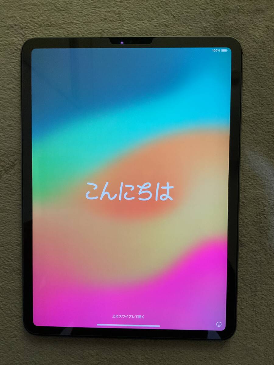 iPad Pro 11インチ Wi-Fi 256GB スペースグレイ 第1世代の画像1