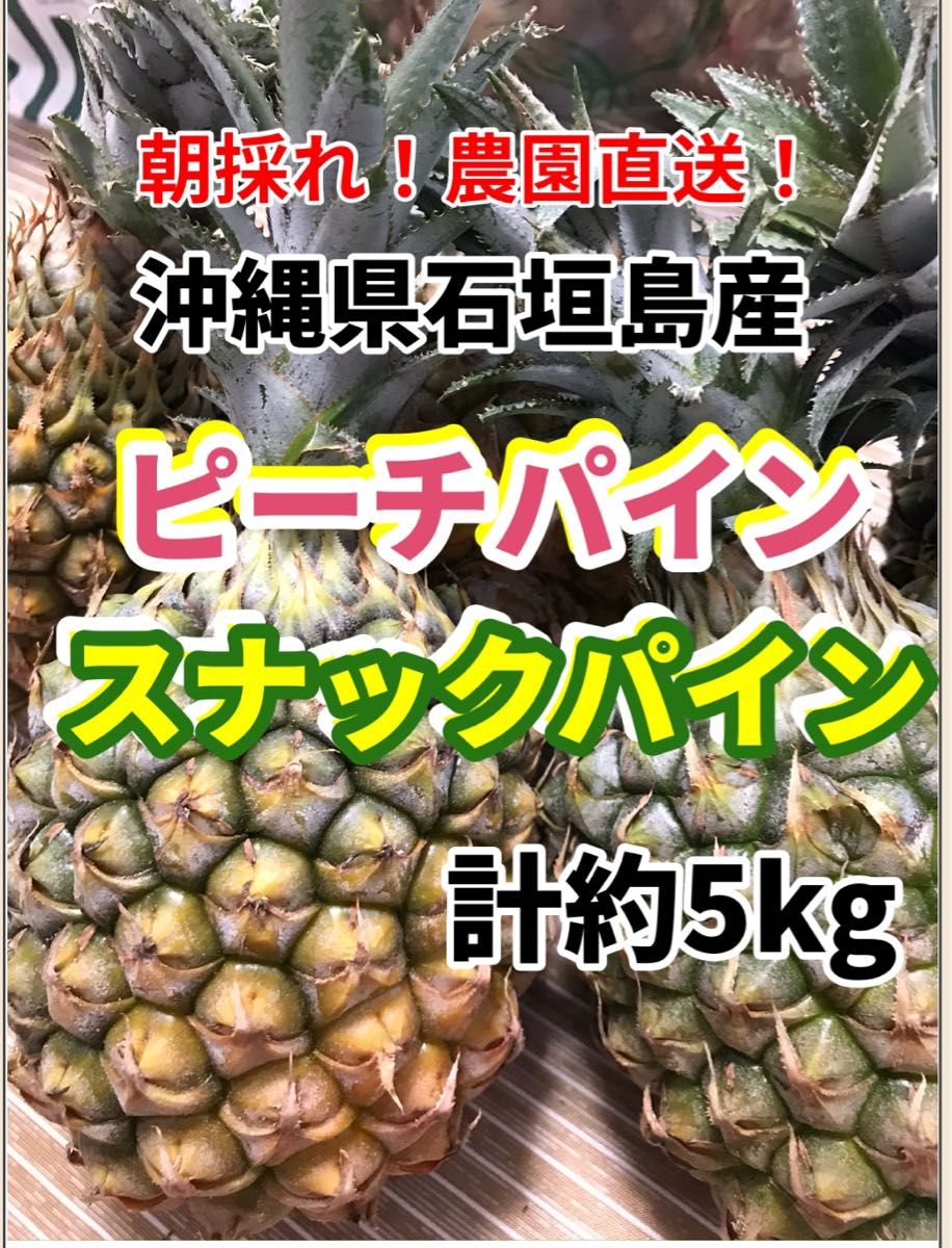 沖縄県石垣島産スナックパイン ・ピーチパインミックス計約5kgパイナップル