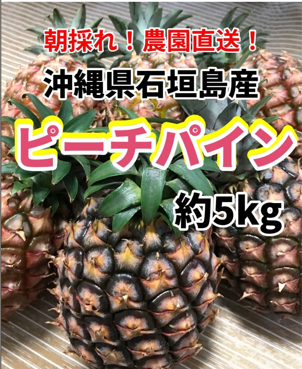 沖縄県石垣島産ピーチパイン約5kgパイナップル