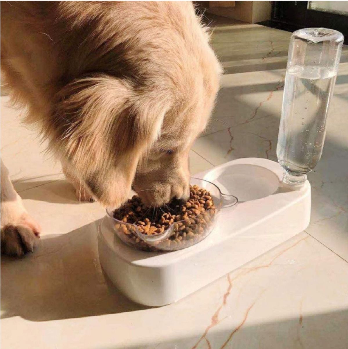 ペット ボウル フードボウル 猫 犬 食器 えさ 皿 ウォーターボトル 自動給水 透明 食べやすい