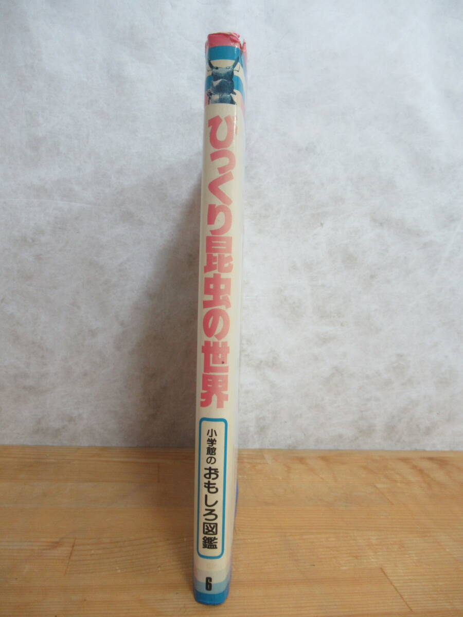 B93☆ 【 初版 】 びっくり昆虫の世界 小学館のおもしろ図鑑 小学館 1967年 カブトムシ チョウ バッタ アリ セミ ホタル カマキリ 240402_画像3