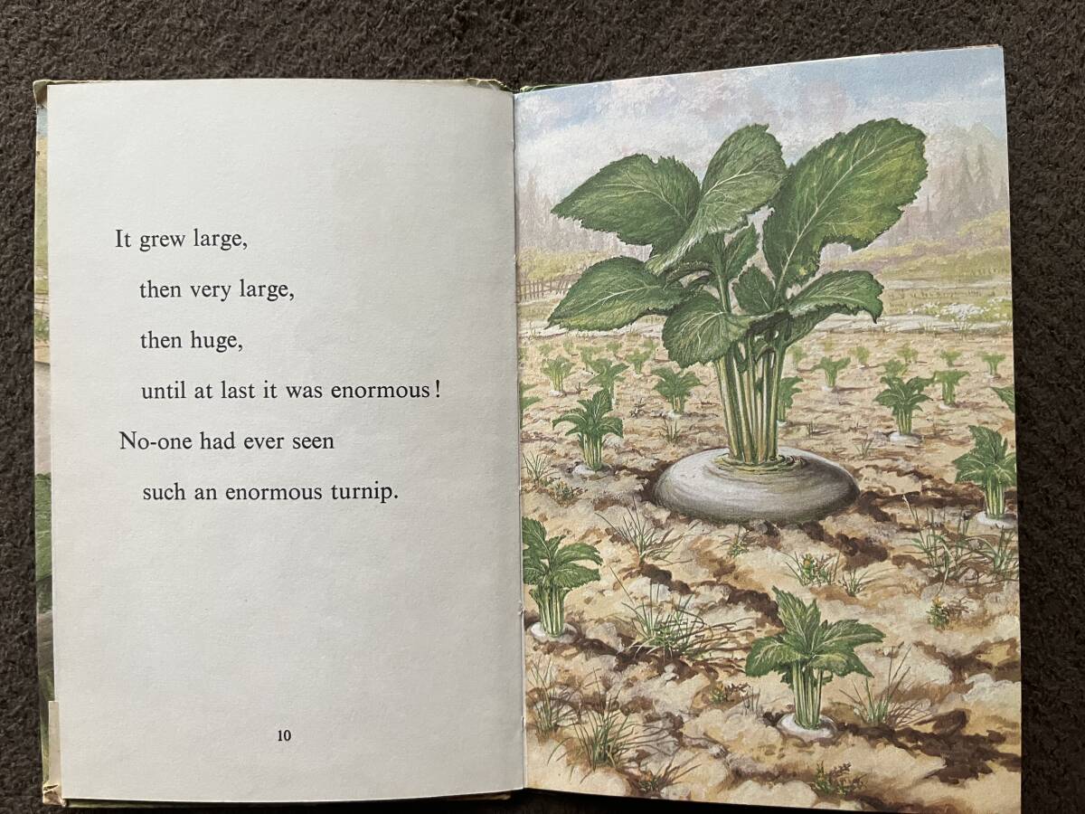 The Enormous Turnip / A LADYBIRD EASY READING BOOK の画像3