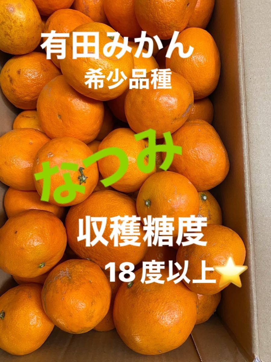 箱込5kg 家庭用 なつみ有田みかん 果物 ミカン 柑橘