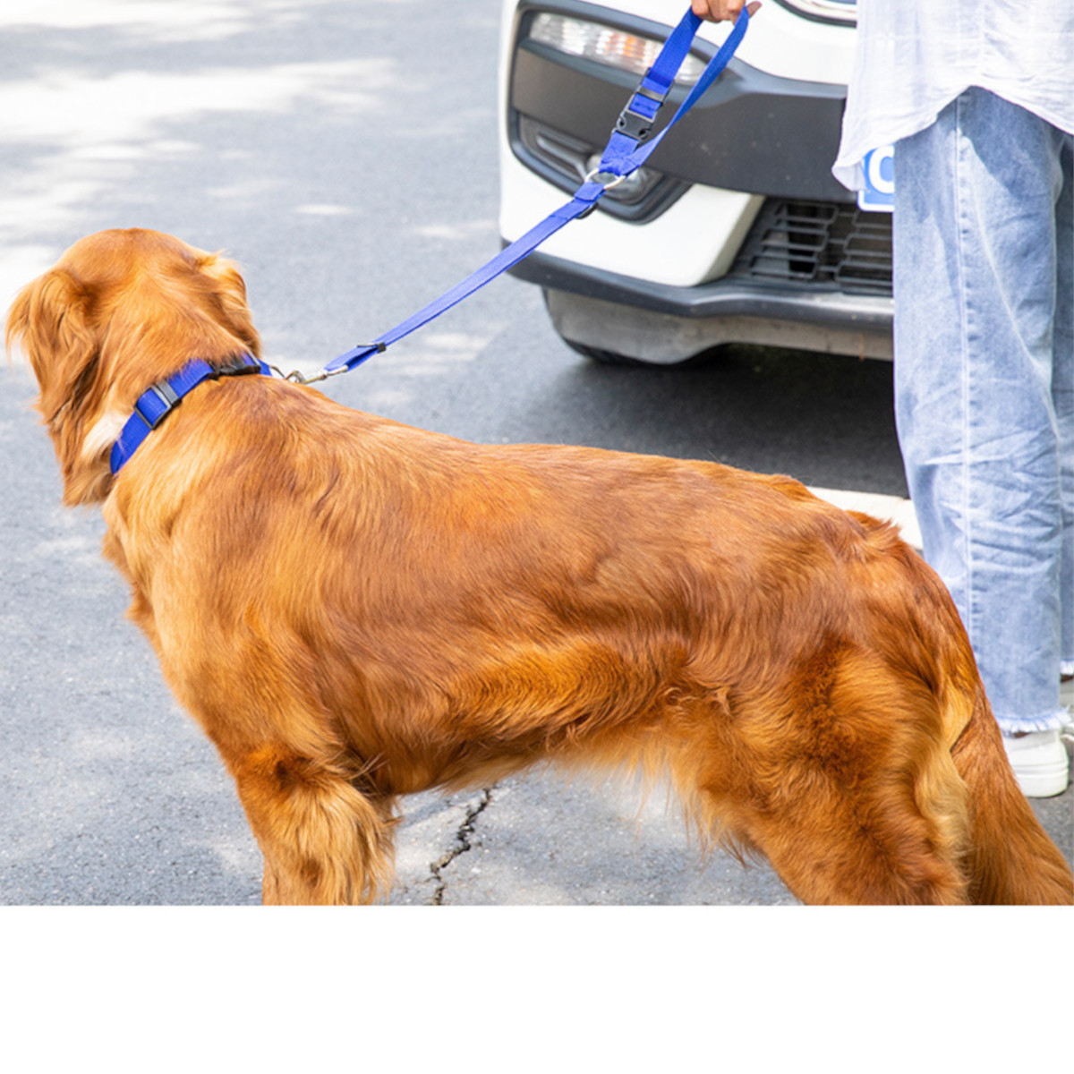 犬 シートベルト ハーネス リード 車 ペット ドライブ 車内 犬用 ヘッドレスト 大型犬 小型犬　★9989