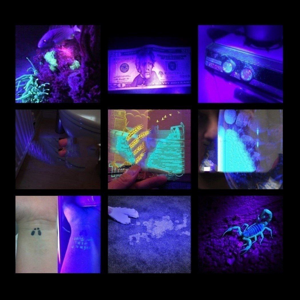 【送料無料】1本 紫外線ライト LED 365nm UVライト ブラックライト 片手 小型 ジェルネイル レジン 硬化 エギング ケイムラ 蓄光 ルアーの画像5