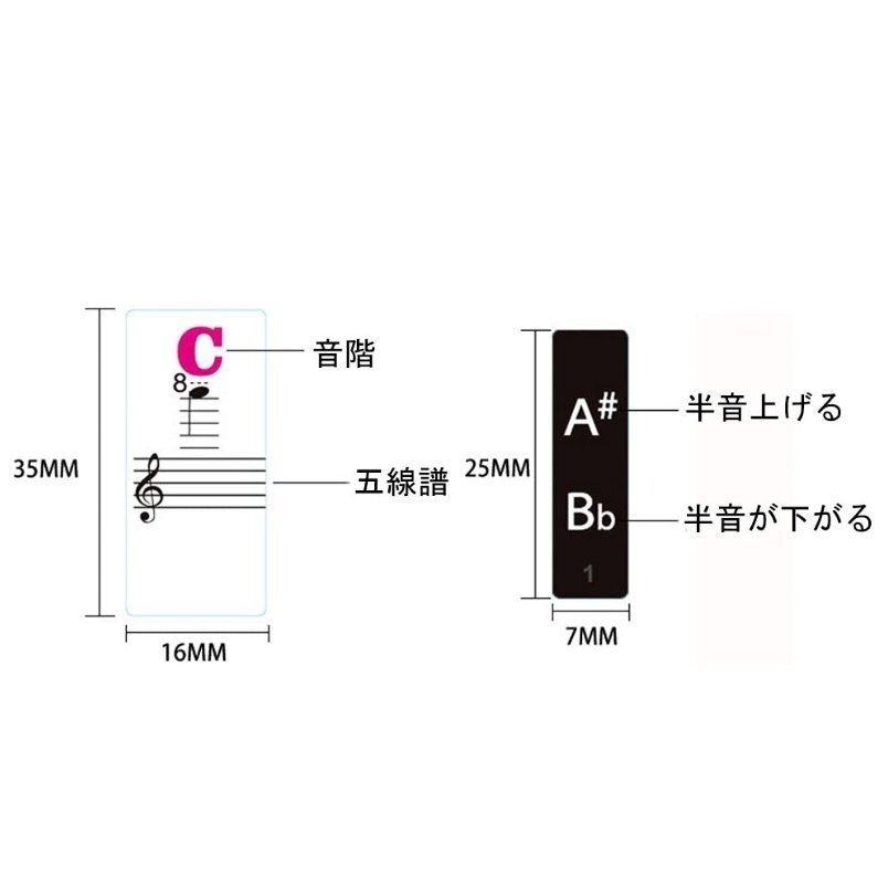 【送料無料】鍵盤キーボードステッカー88種類 (カラフル) ピアノ 音符シール 小学校 初心者 ピアノ練習 キーボード 区分Y LB-49-CF_画像3