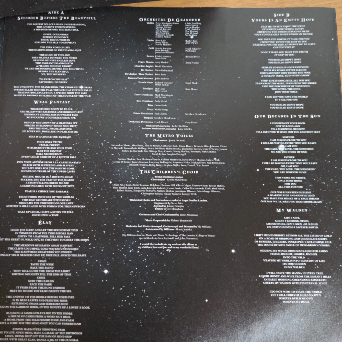 Nightwish/Endless Forms Most Beautiful…LPレコード 美盤の画像8