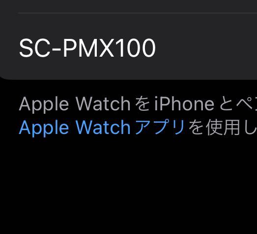 最終正常動作4/22 Panasonic SA-PMX100 付属本体スピーカーリモコン説明書 スピーカーケーブル有_画像7