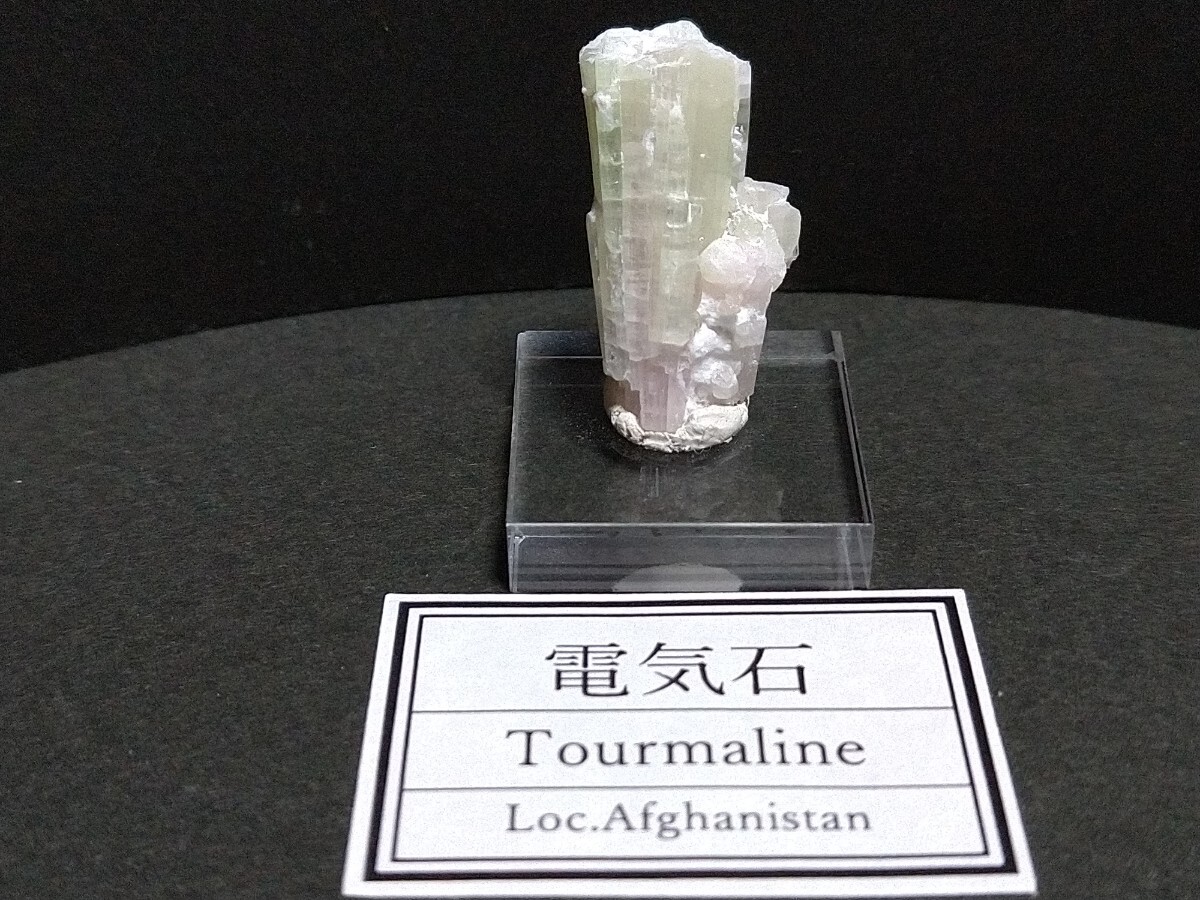 鉱物標本 バイカラートルマリン 電気石 アフガニスタン産の画像3