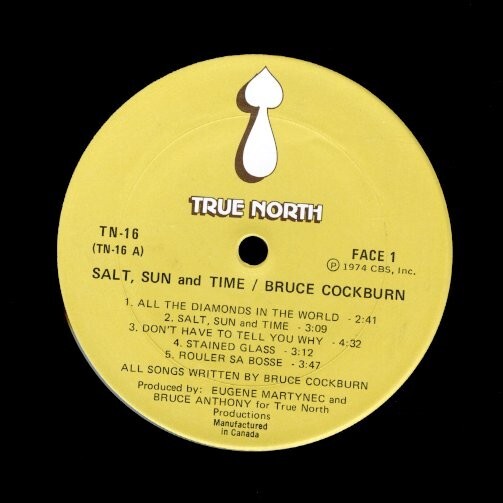 74年 カナダ盤LP！STERLING刻印 Bruce Cockburn / Salt, Sun And Time【True North / TN-16】ブルース・コバーン フォーク Folk ロックの画像2