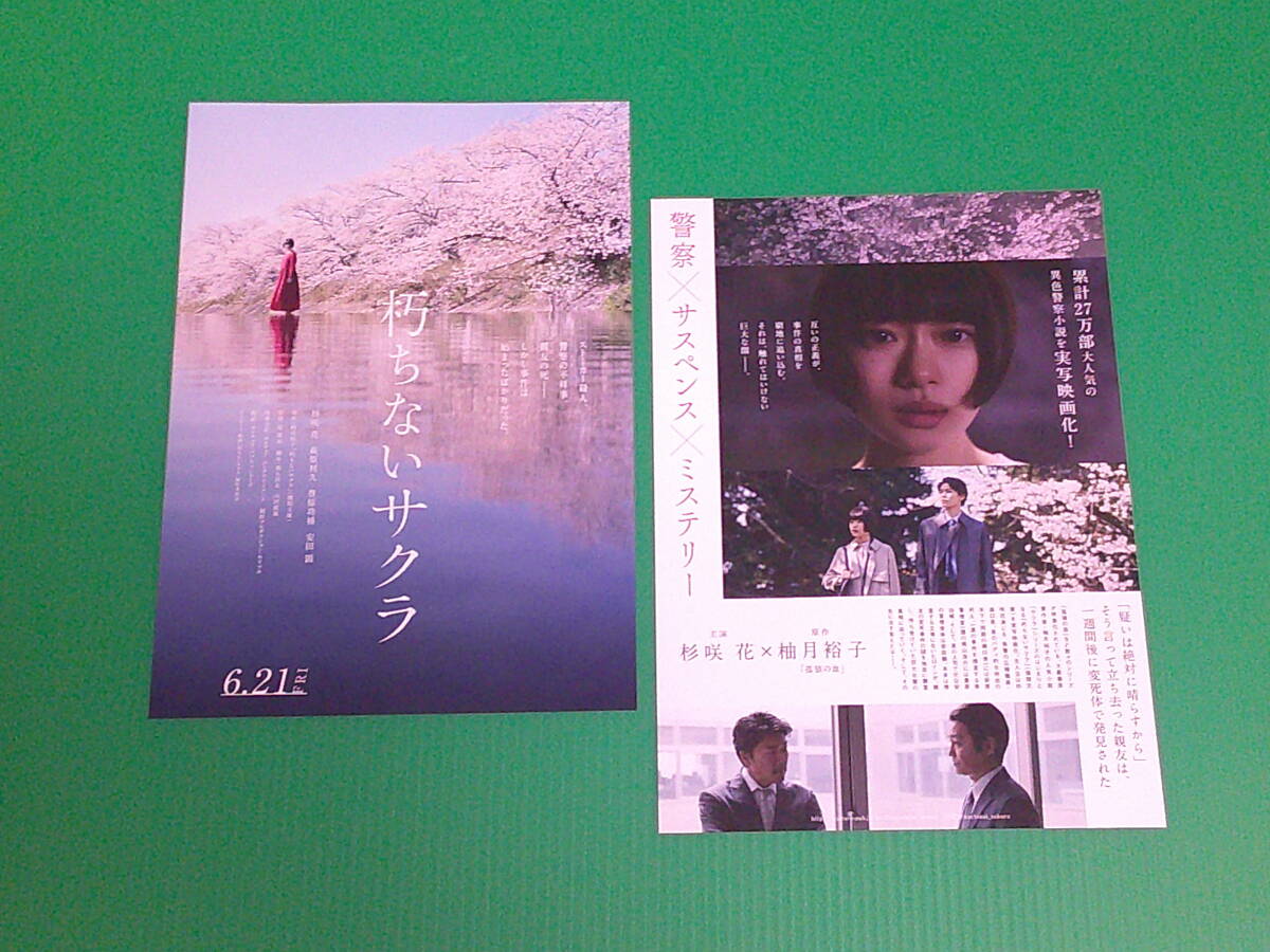 映画チラシ★柚月裕子 原作「朽ちないサクラ」杉咲花・萩原利久・森田想・坂東巳之助・駿河太郎・安田顕★２種４枚・即決_画像3