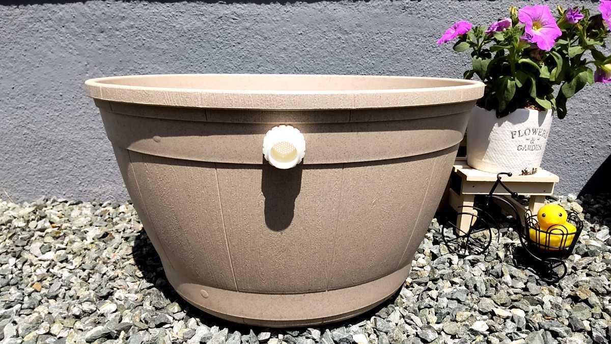  front door biotope optimum! water lily pot [ large ] Smart valve overflow measures ending ( measurement approximately 13L) beige 1 piece 