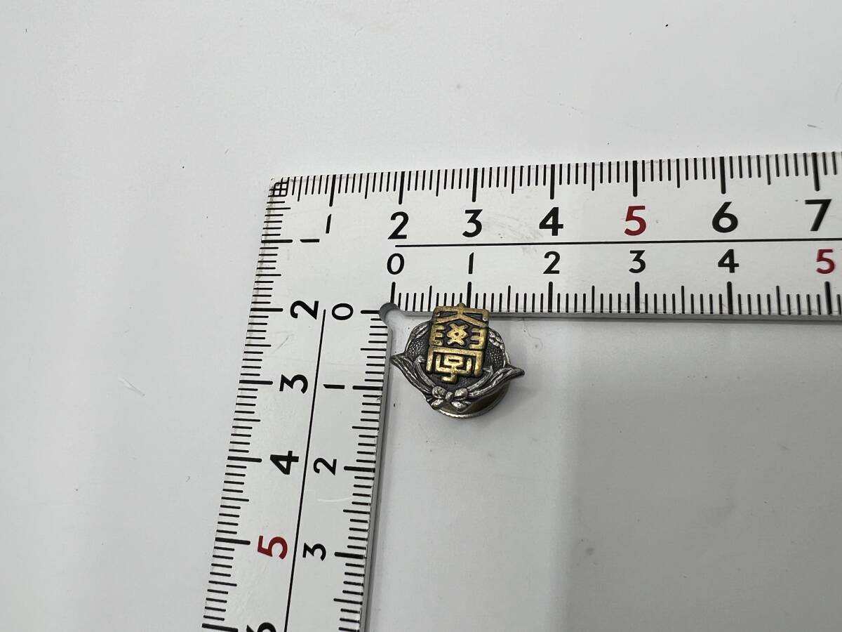  Waseda university . large WASEDA.. old . chapter Showa Retro period unknown pin badge collar chapter memory chapter souvenir Logo Mark pin z pin bachi war front war after 10