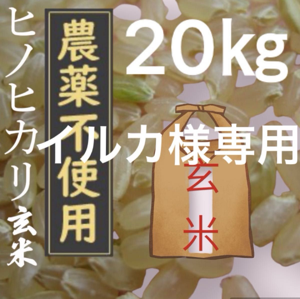 イルカ様専用【令和5年産 新米 】農薬不使用・除草剤不使用 玄米20㎏