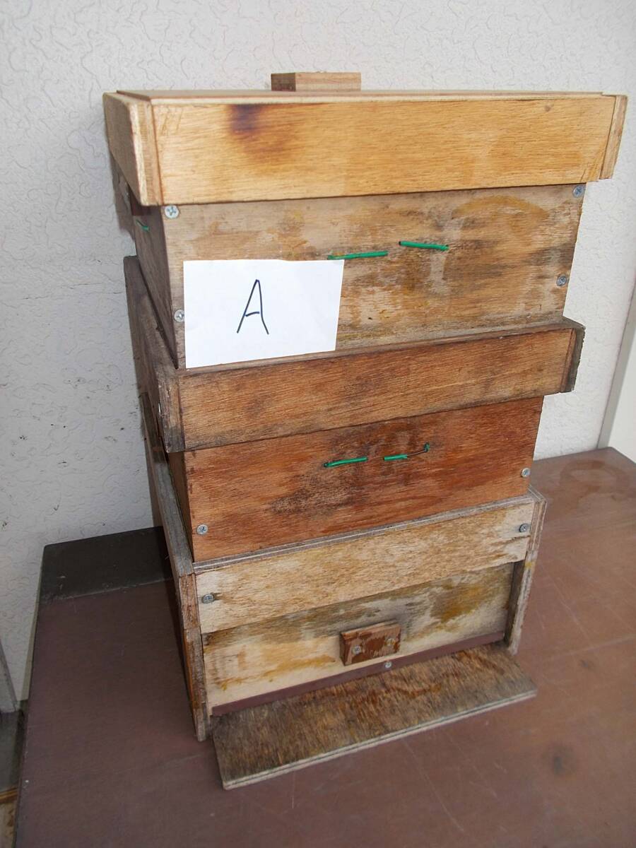 ☆日本蜜蜂・みつばち・ミツバチ・空き巣箱☆Aの画像6