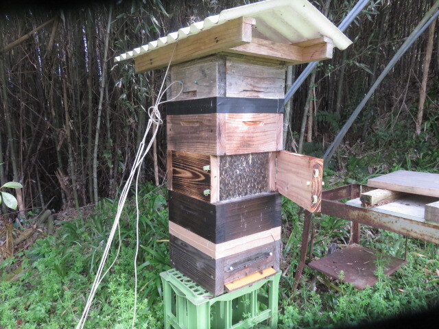 日本蜜蜂入り巣箱 スロープ３０巣門下箱、観察窓付き継箱５段飼育重箱式巣箱 、２４ ４ １の画像2