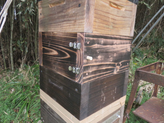 蜜蜂巣箱 日本蜜蜂用重箱式巣箱の観察窓付き継箱 内寸２３０ｍｍ用の画像6