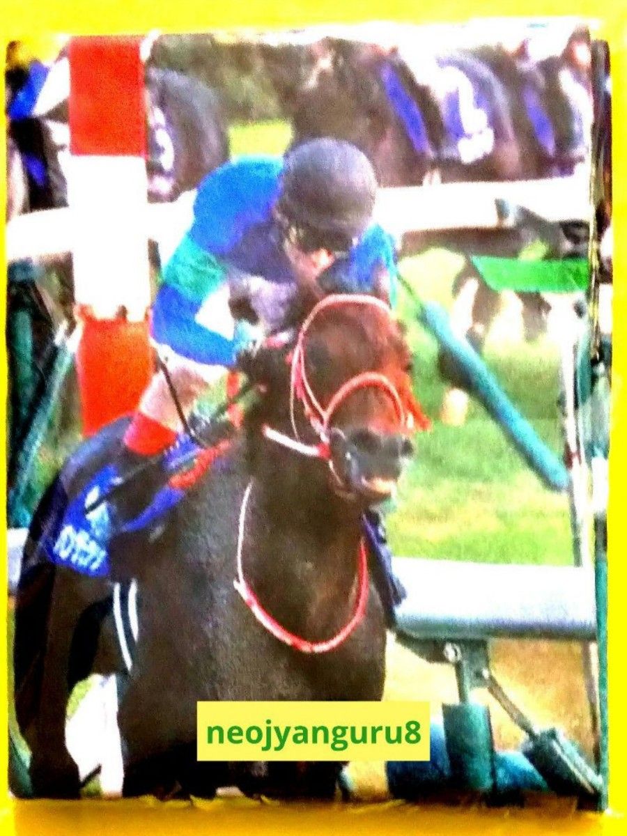 パンサラッサ サウジカップ優勝記念タオル パンサラッササウジカップ優勝記念タオル