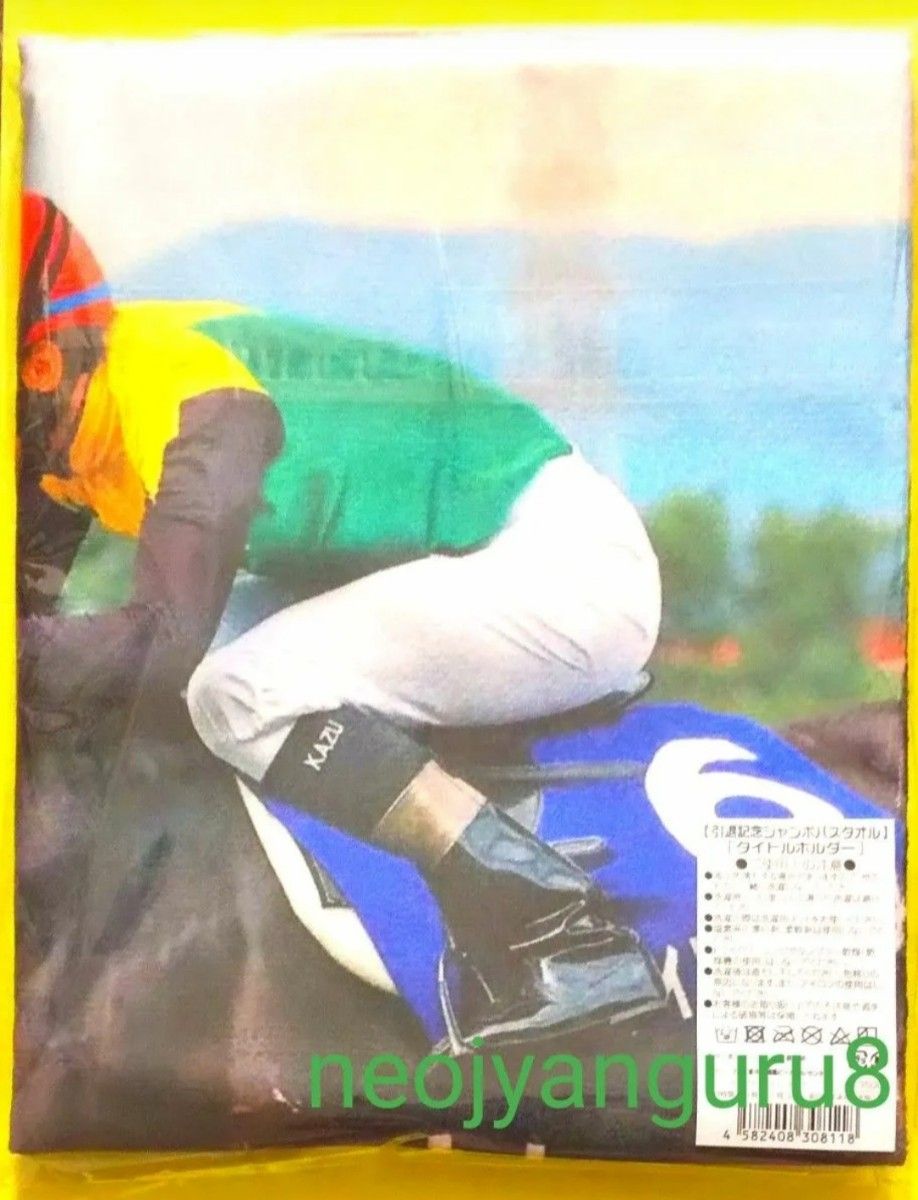 タイトルホルダー＊引退記念＊ジャンボ＊バスタオル＊ＪＲＡ＊中山競馬場＊京都競馬場＊阪神競馬場＊天皇賞春＊菊花賞＊宝塚記念