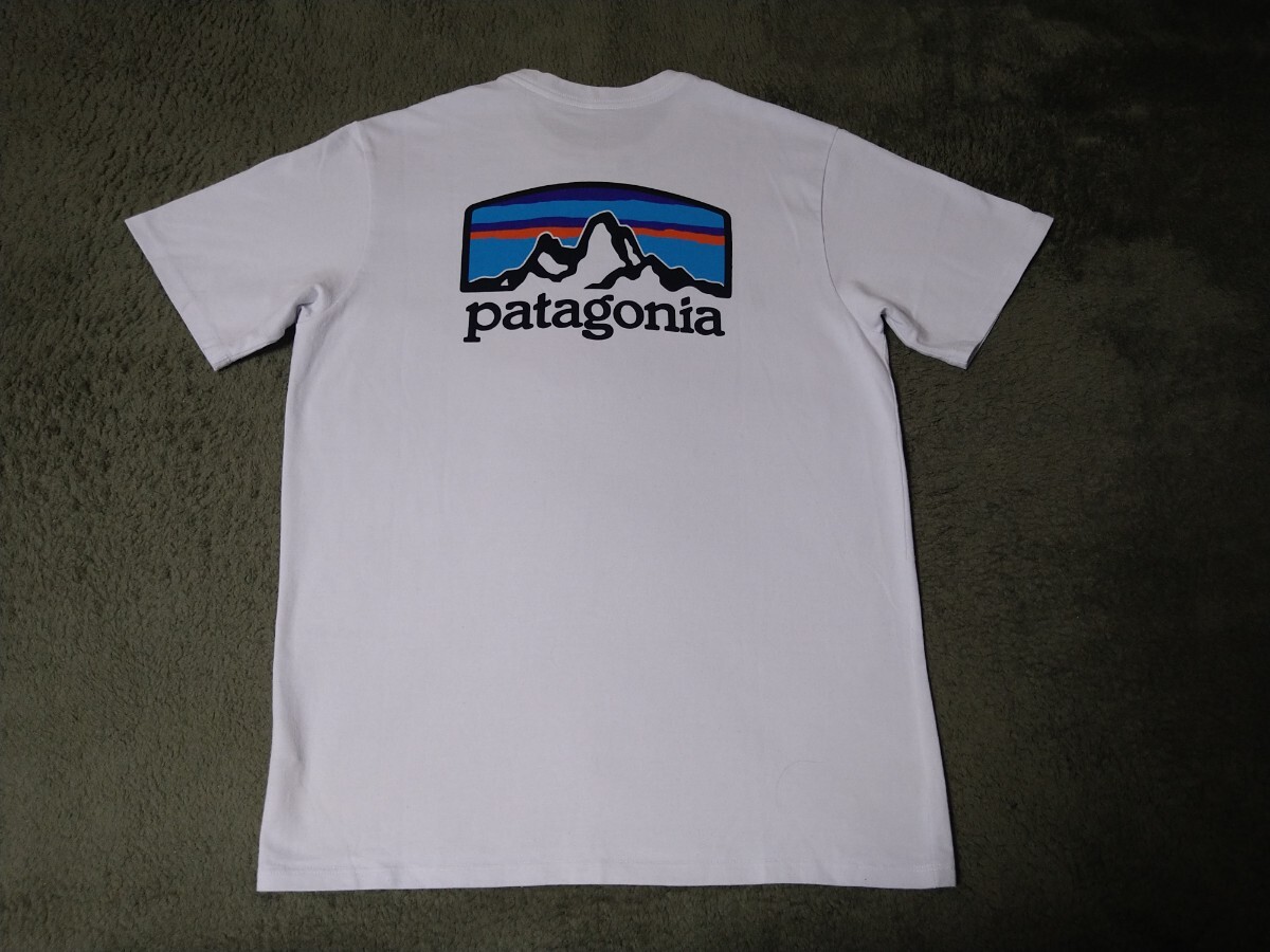 patagonia パタゴニア Tシャツ　メンズXS_画像1