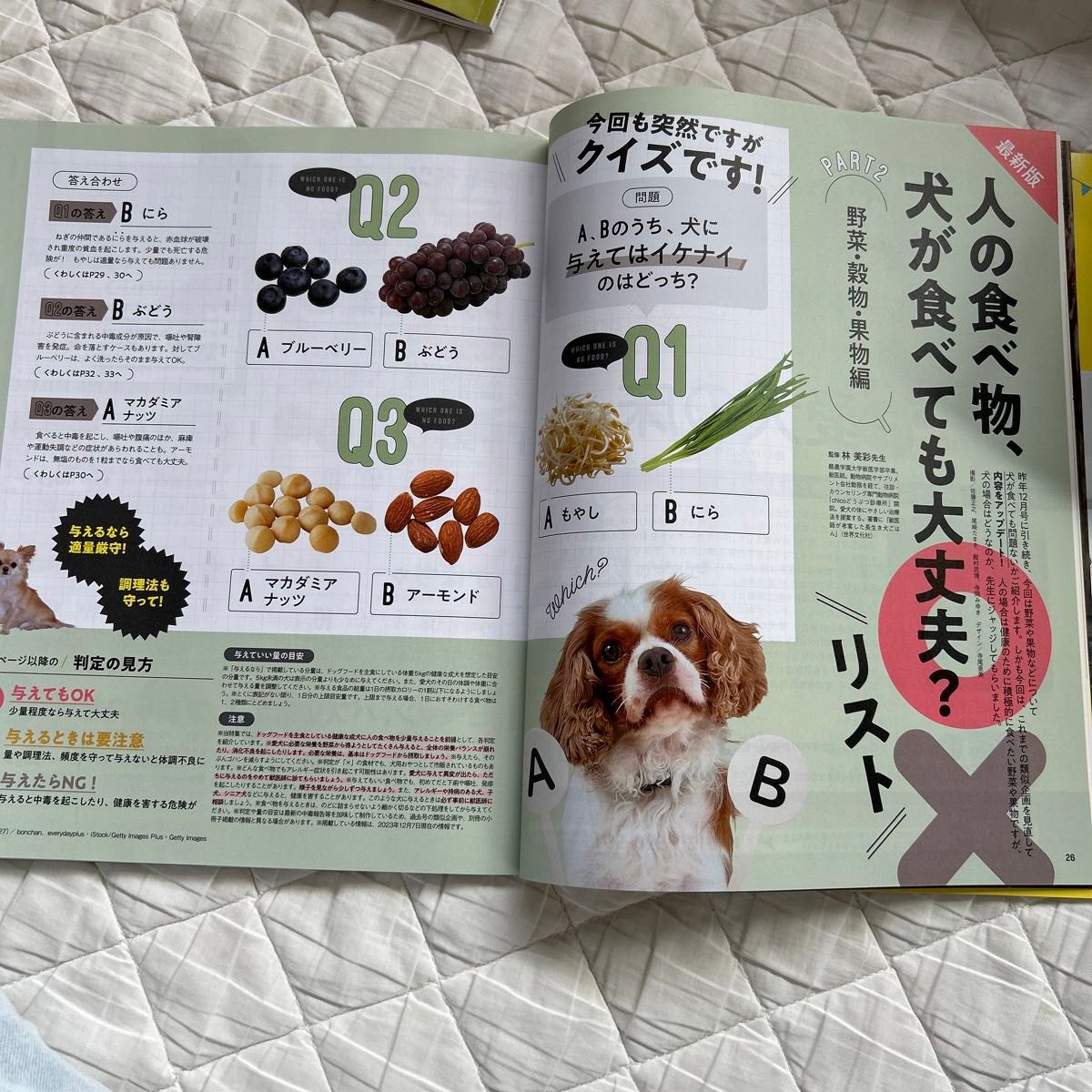 初めての飼い主さんのいぬのきもち 2024 2月号