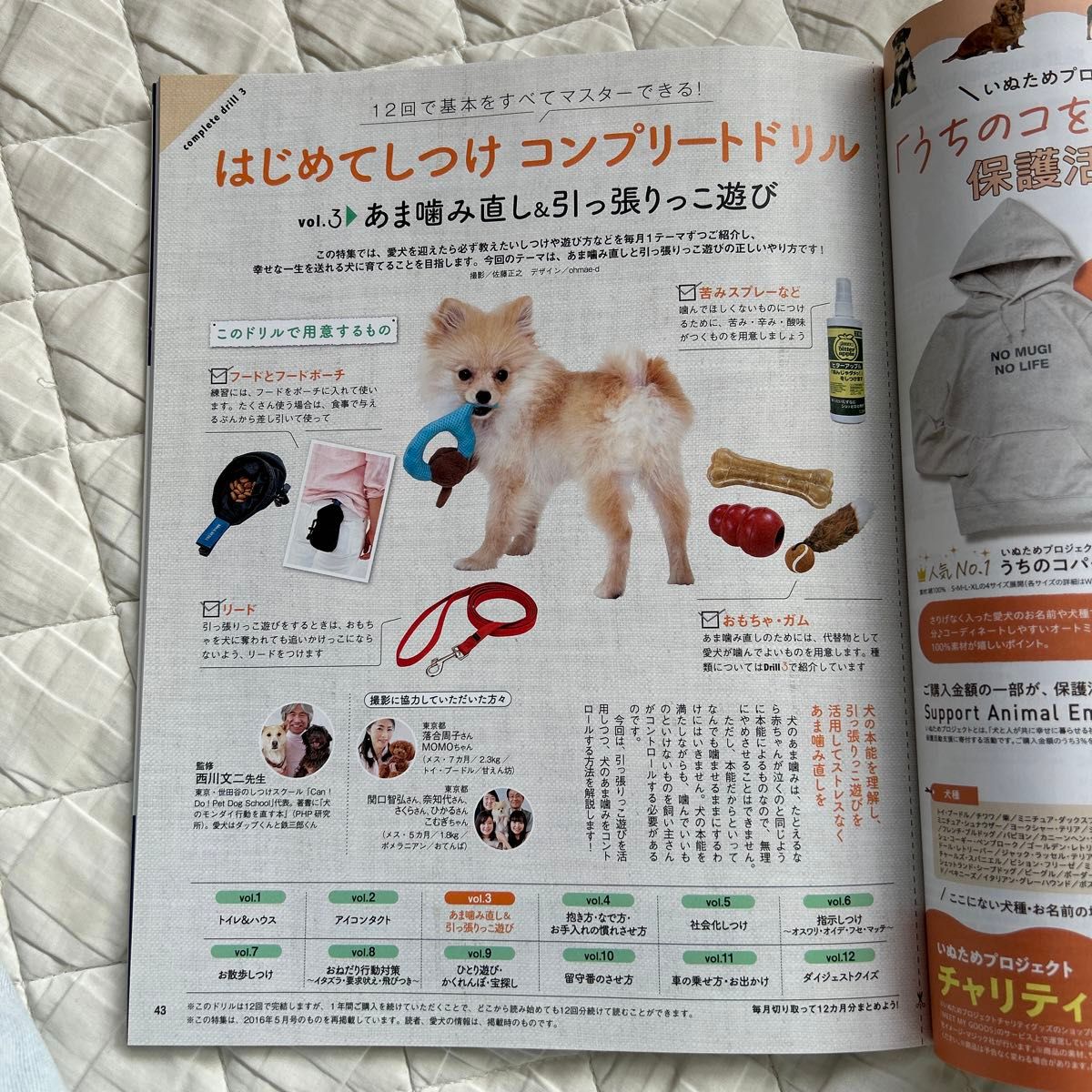 初めての飼い主さんのいぬのきもち 2024 2月号