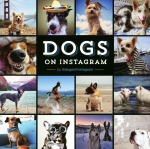  photoalbum DOGS ON INSTAGRAM|@dogsofinstagram( author )