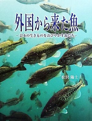 外国から来た魚 日本の生きものをおびやかす魚たち／松沢陽士【著】_画像1