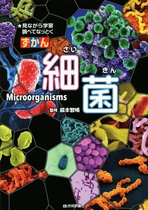 ずかん細菌 見ながら学習調べてなっとく／ネイチャー＆サイエンス(編者),鈴木智順_画像1