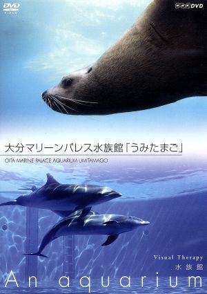 ＮＨＫＤＶＤ　水族館～Ａｎ　Ａｑｕａｒｉｕｍ～大分マリーンパレス水族館「うみたまご」／（趣味／教養）_画像1