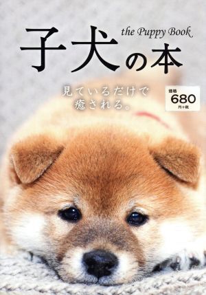 子犬の本 見ているだけで癒される。／日販アイ・ピー・エス_画像1