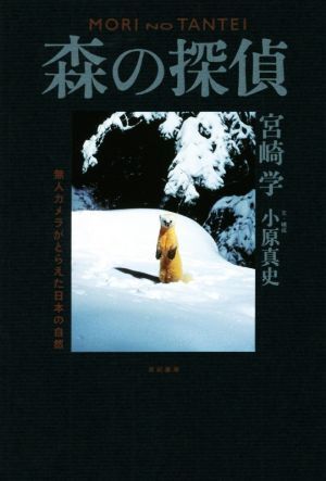 森の探偵 無人カメラがとらえた日本の自然／宮崎学(著者),小原真史(著者)_画像1