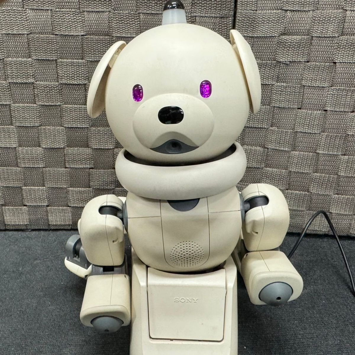 C815-K55-304 SONY ソニー aibo アイボ ペットロボット ERA-310A1 ERS-310 シリーズ 説明書付き 通電OK ②の画像2