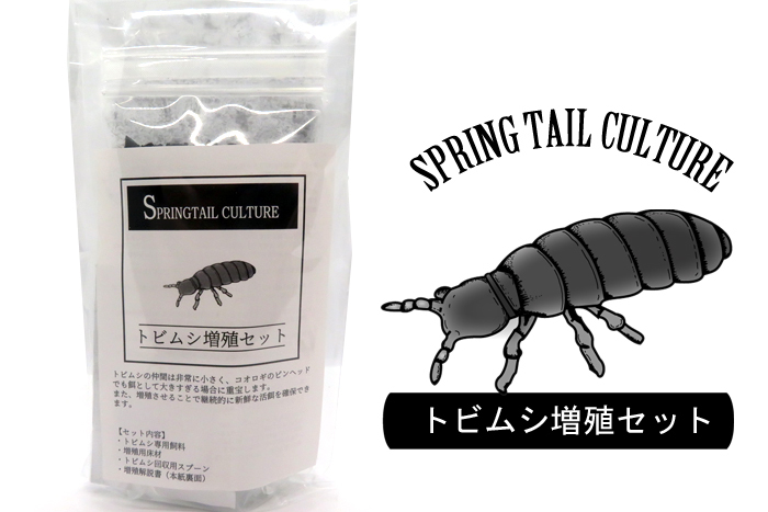 トビムシ増殖セット （専用床材+専用飼料+解説書） 餌 エサ 微生物 上陸 カエル ヤドクガエル パルダリウムの画像1