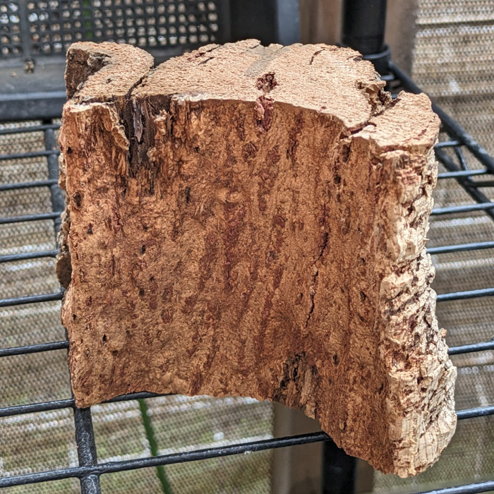  independent possible flat surface cut super meat thickness cork cork ( approximately 10×8cm thickness approximately 5cm rom and rear (before and after) )1 piece bar Gin . leather cork wall 
