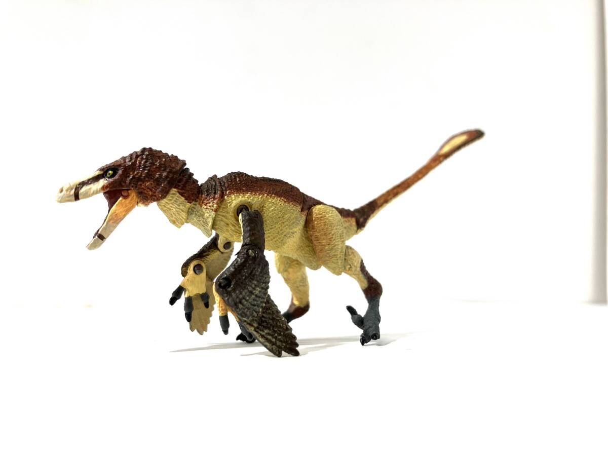 Beast of the mesozoic ヴェロキラプトル マテル ジュラシック 3.75インチ 1/18 アクションフィギュア 恐竜の画像3