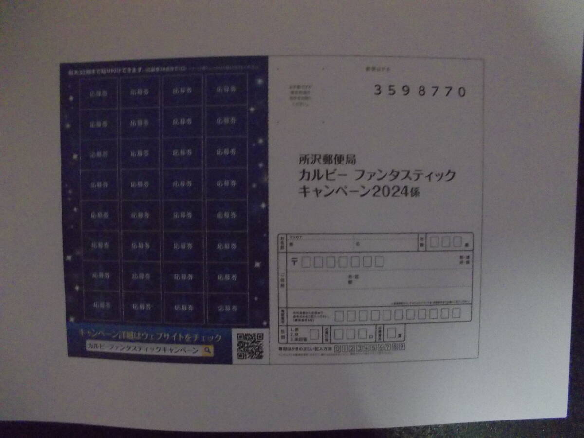 送料込み！ カルビー ファンタスティックキャンペーン2024 ディズニーシー貸し切りパーティー 応募部分合計【181点】calbeeの画像2