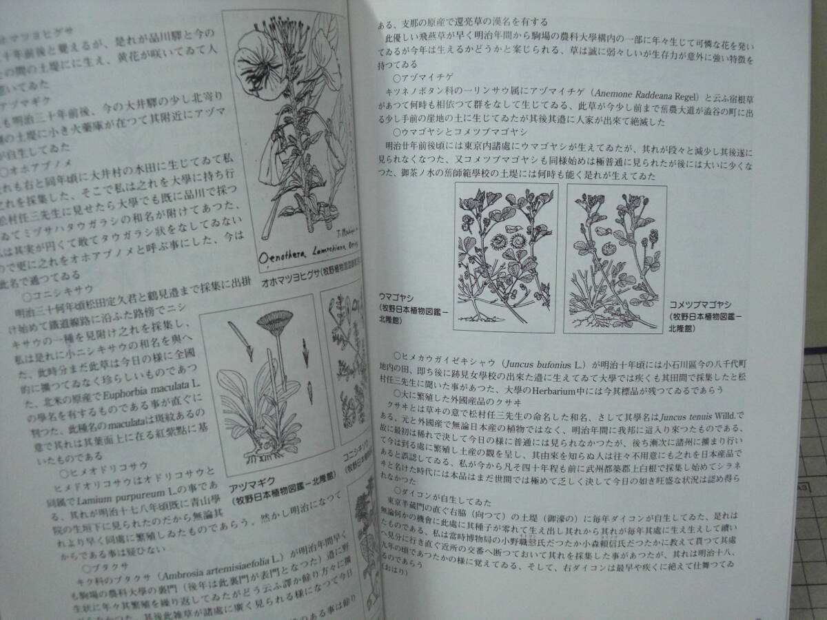 企画展 草木の精牧野富太郎  国立科学博物館  1998年の画像8