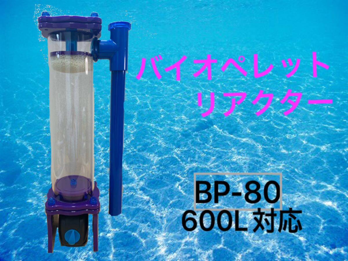 ぱバイオペレットリアクター BP-80 ポンプのみ_画像1