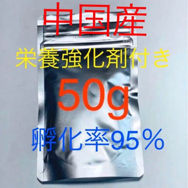 【コスパ抜群新商品】送料無料 おまけ付き 中国産 高品質ブラインシュリンプ 50g 栄養強化剤サンプル付きの画像1