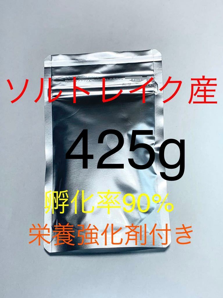 【是非お試しください】送料無料 ソルトレイク産 高品質ブラインシュリンプ 425g 栄養強化剤サンプル付きの画像1