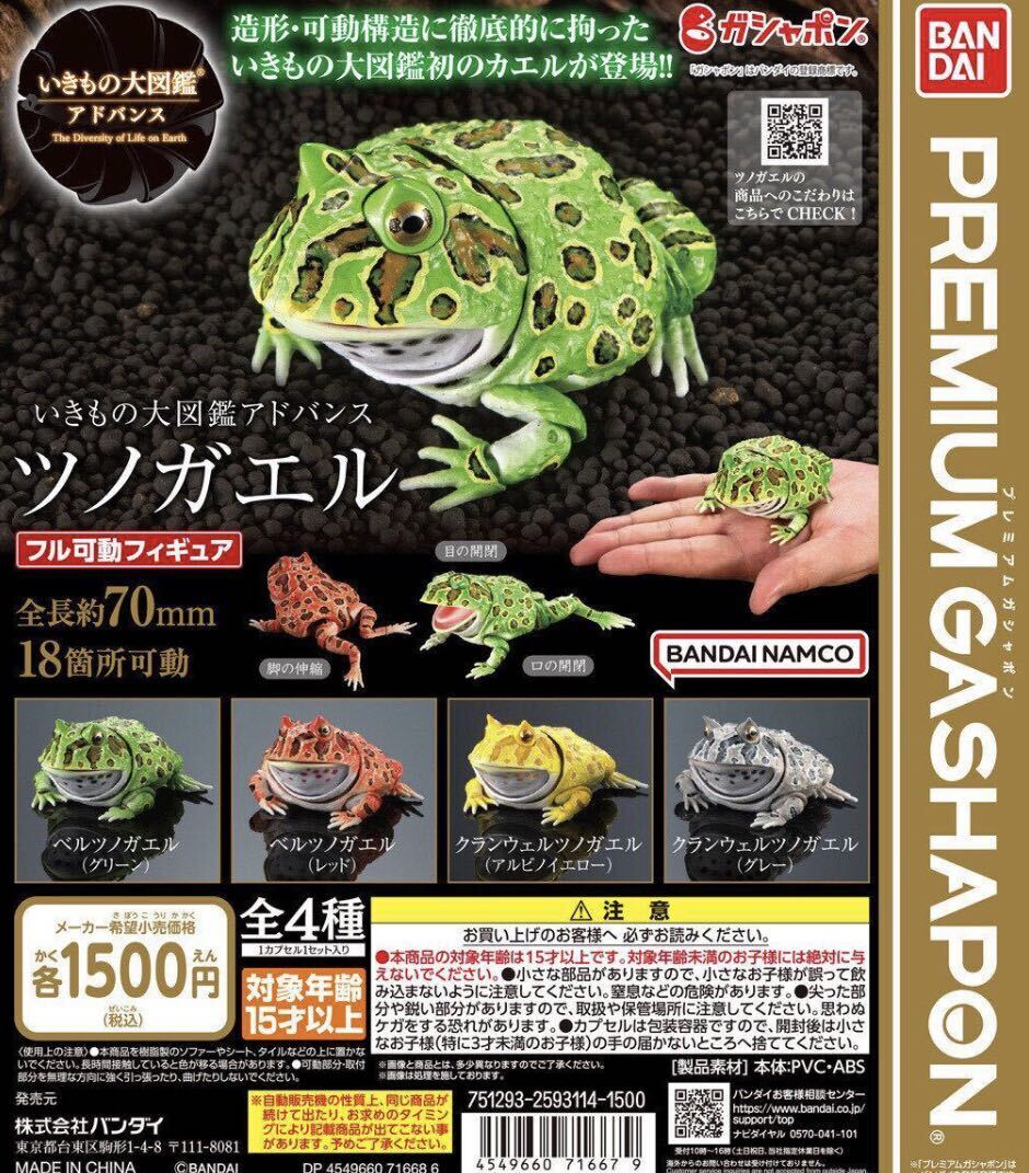 いきもの大図鑑 ツノガエル 全４種セット