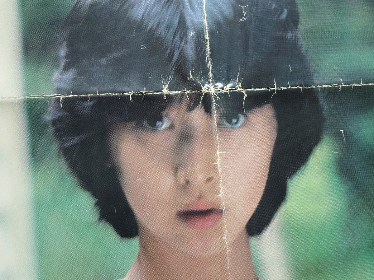 昭和レトロ 1979年 秋山ゆかり 当時物 大型ポスター 撮影：篠山紀信 （昭和のアイドル 美少女 激写）_画像8