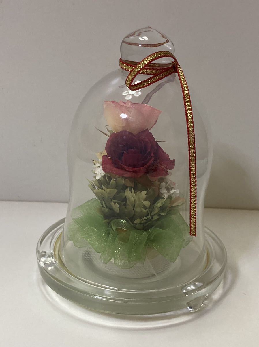 T.146* preserved flower * glass dome * rose * interior 
