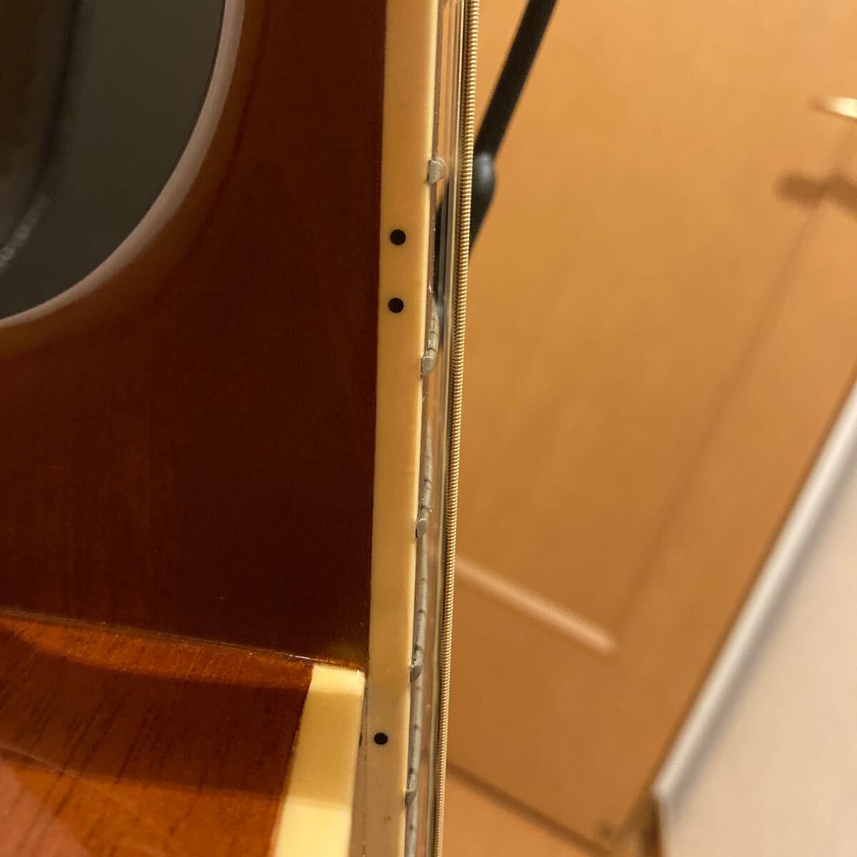 Alvarez PD80 ハードケース付_画像9