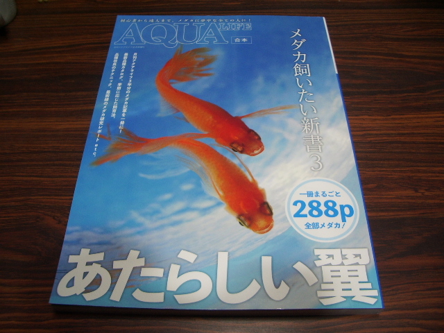 月刊アクアライフ合本　メダカ飼いたい新書3_画像1