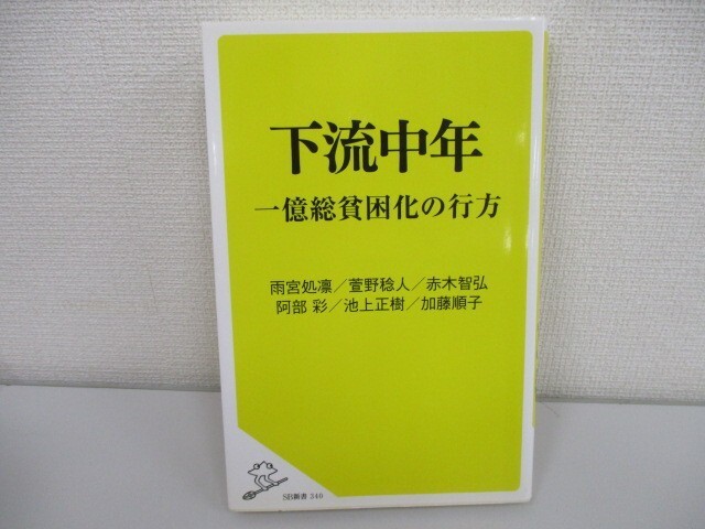 下流中年 一億総貧困化の行方 (SB新書) j0604 C-15_画像1