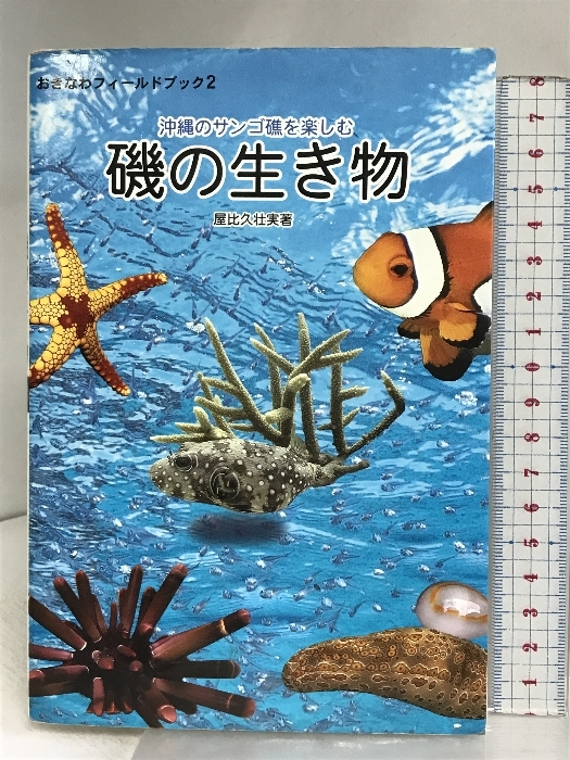 磯の生き物: 沖縄のサンゴ礁を楽しむ (おきなわフィールドブック 2) アクアコーラル企画 屋比久 壮実_画像1