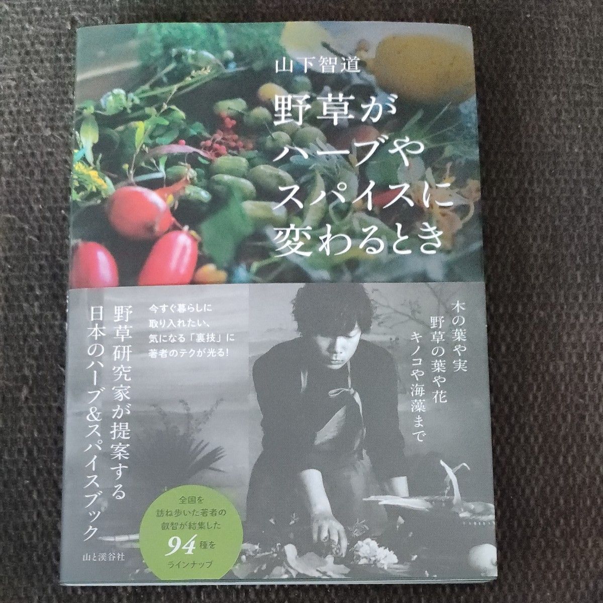 野草がハーブやスパイスに変わるとき 　山下智道