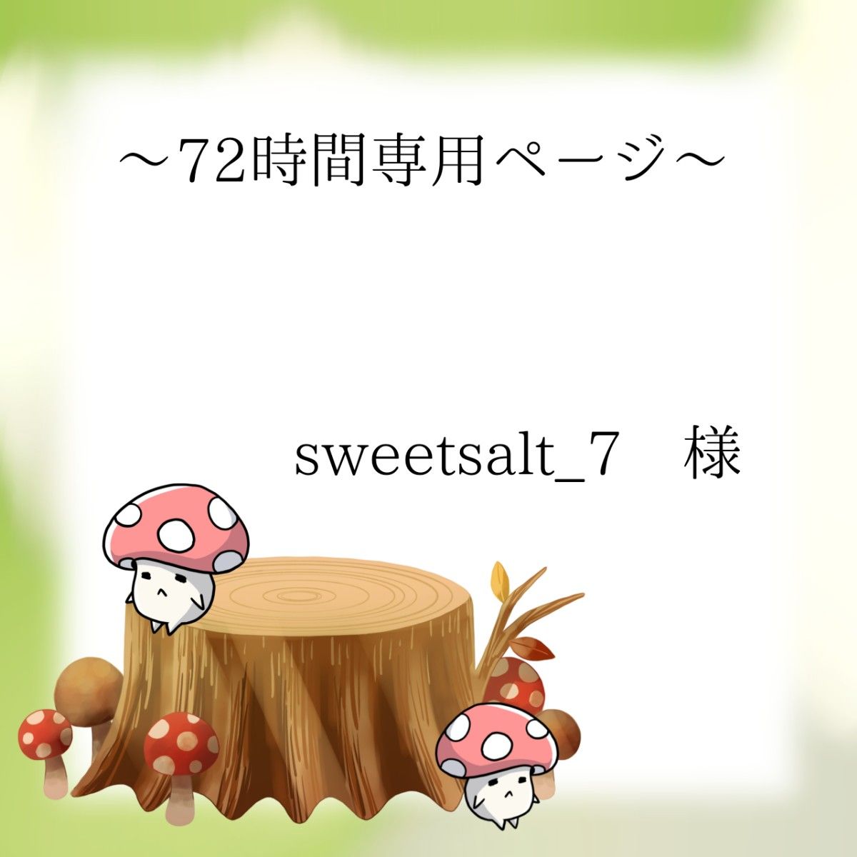 sweetsalt_7様専用ページ